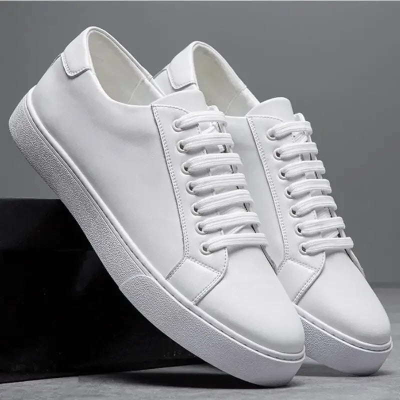 Enzo | Herren Sneaker aus Leder – Isabels Modehaus (Bild 14)