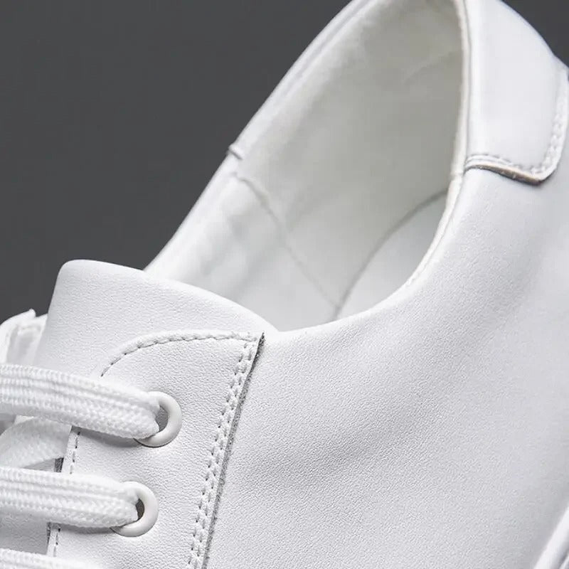Enzo | Herren Sneaker aus Leder – Isabels Modehaus (Bild 19)